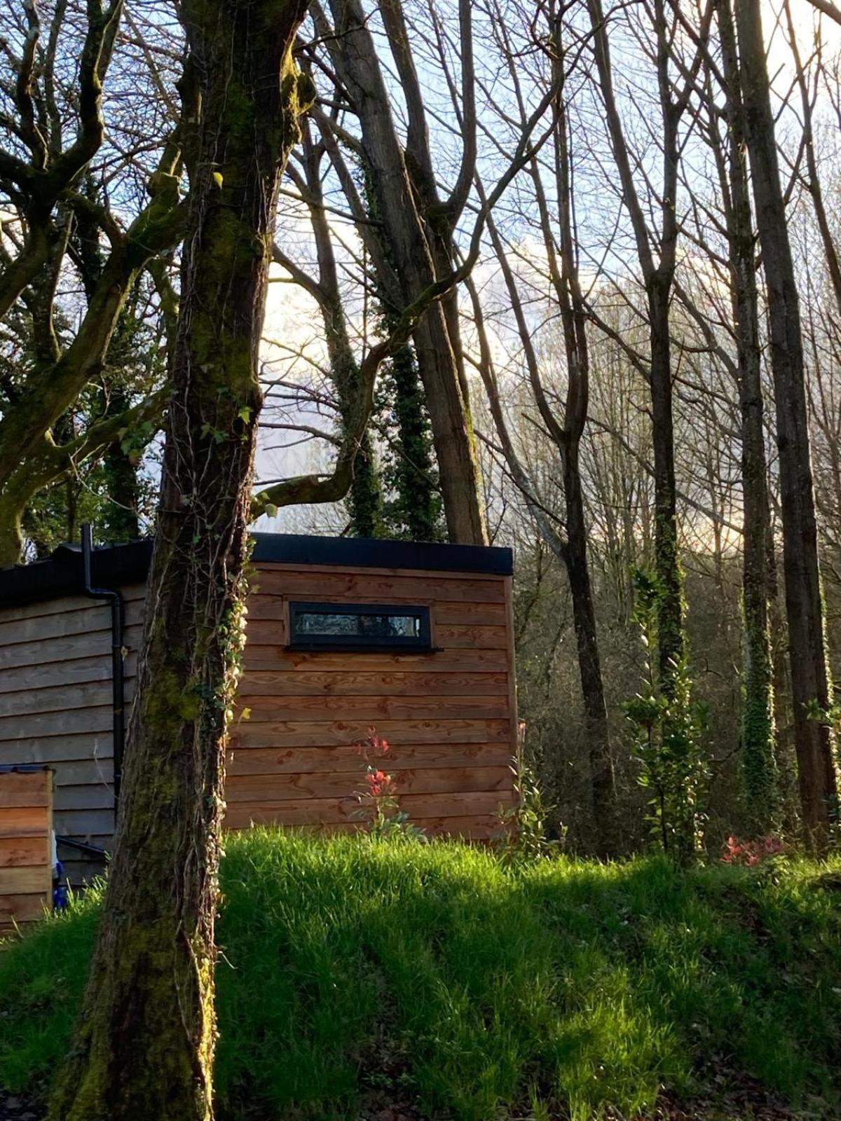 The In The Woods Holiday home Romsey